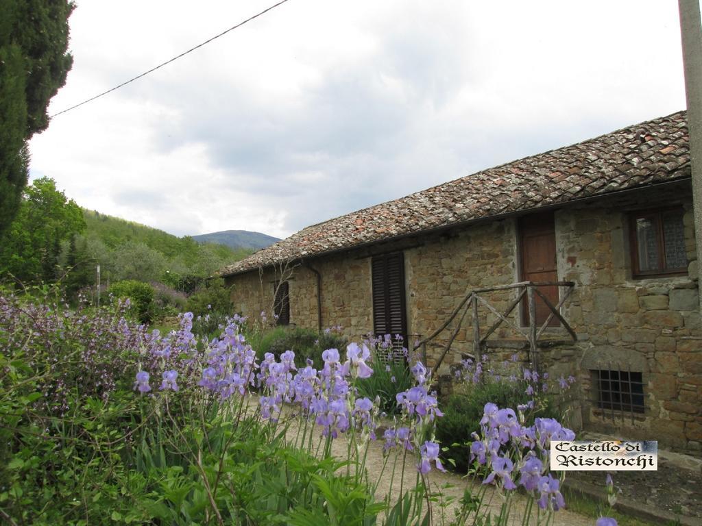 فيلا Pelagoفي Castello Di Ristonchi المظهر الخارجي الصورة