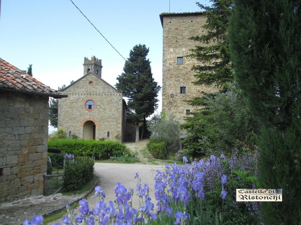 فيلا Pelagoفي Castello Di Ristonchi المظهر الخارجي الصورة